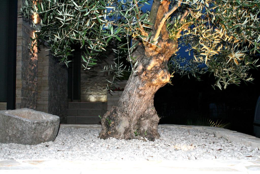 Olive Charm Apartment อูมัค ภายนอก รูปภาพ